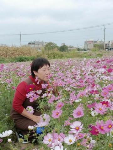 提供過年背景服務的專家俐淨工作室