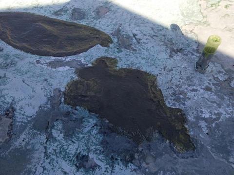 策略防水工程事業群 - 北投尊賢街，泥作修補