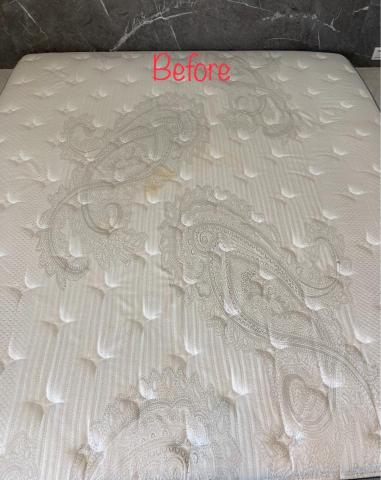 五葉草床墊沙發地毯清潔 - 尿液血漬清潔前