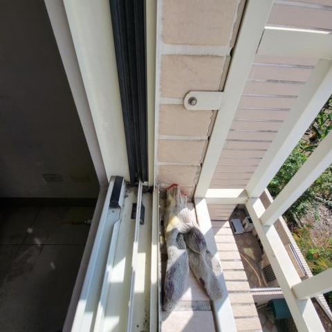 邦尼工程有限公司 - 灌注中