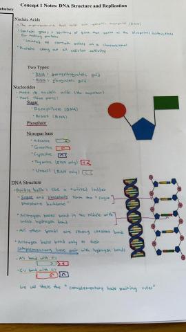 陳世軒-數理家教 - 課堂筆記 生物