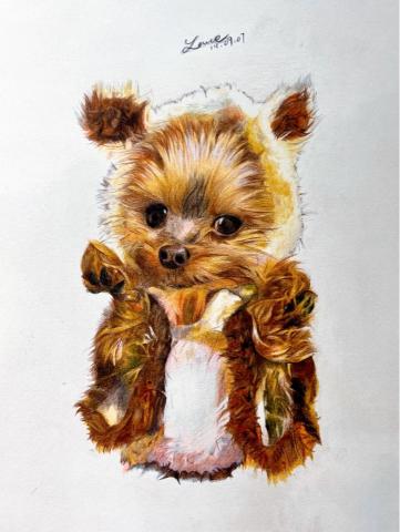 葉芓宏 Lance - 色鉛筆