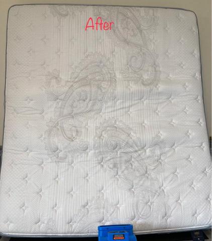 五葉草床墊沙發地毯清潔 - 尿漬血漬清潔後