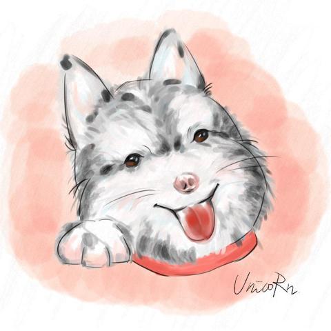 蝦皮商品圖設計/插畫設計 - 