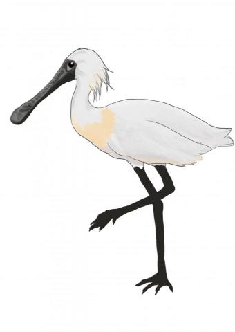 七七 - 綠色設計比賽設計的角色2