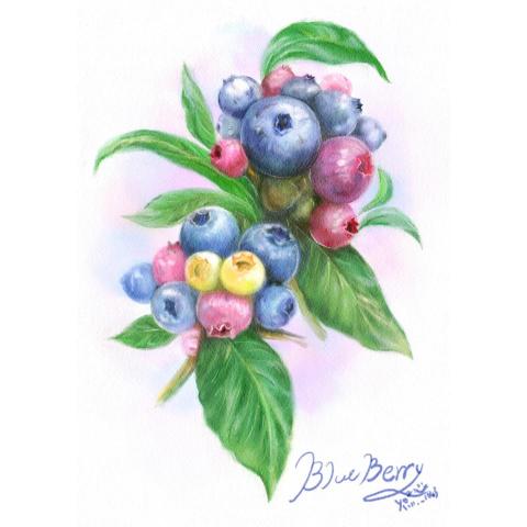盈兒 - 藍莓 盈兒 - 藍莓
