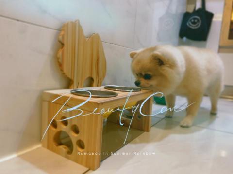 王志哲 - 客製化杉木餐架