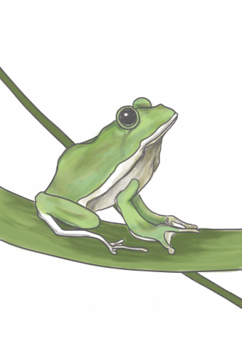 七七 - 綠色設計比賽設計的角色