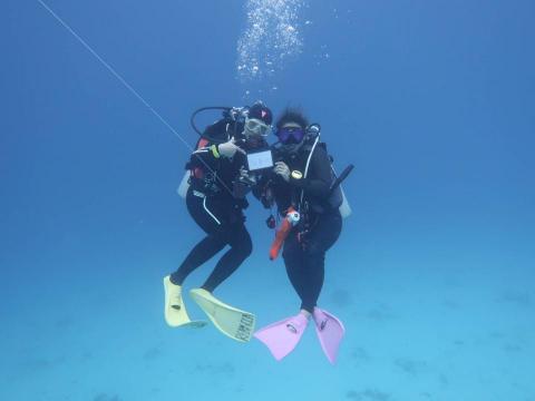 歐陞潛水中心 - 