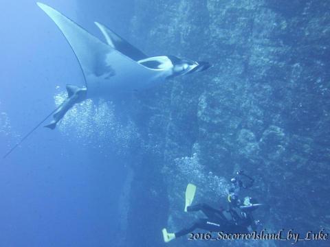 歐陞潛水中心 - 