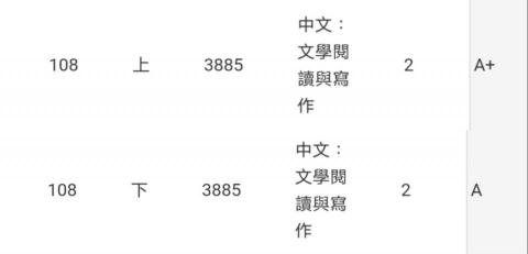 Irene - 大學中文成績佳