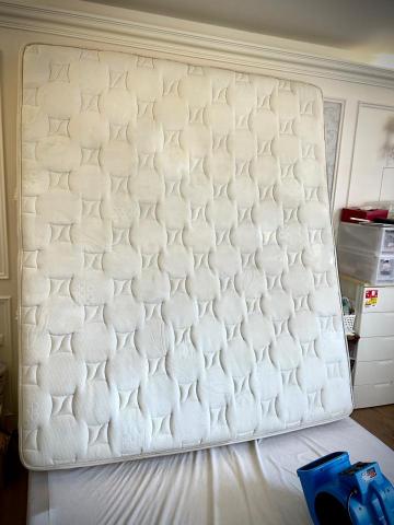 五葉草床墊沙發地毯清潔 - 立床加速烘乾