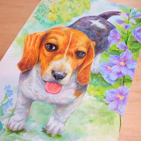 貪吃熊設計工作室 - 