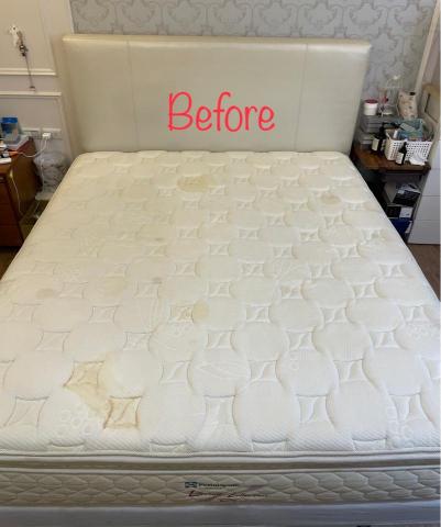 五葉草床墊沙發地毯清潔 - 寵物尿漬、血漬、寵物嘔吐物、難清洗髒污完工。