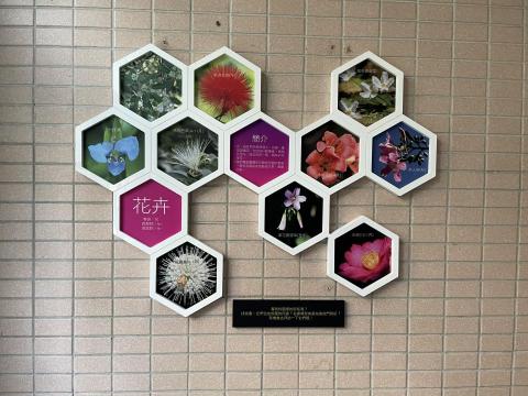 廈林國際廣告有限公司 - 