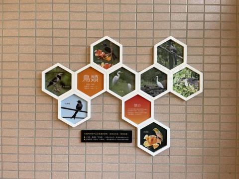 廈林國際廣告有限公司 - 