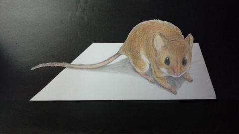 沫羅 - 立體繪/美勞