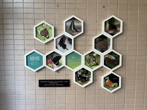 廈林國際廣告有限公司 - 