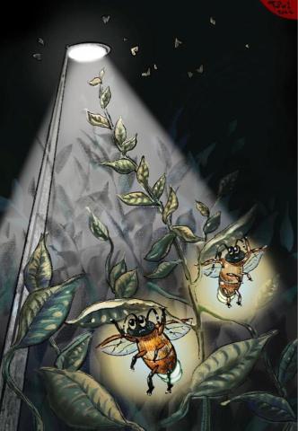 那一刻，我們是如此渺小 - 