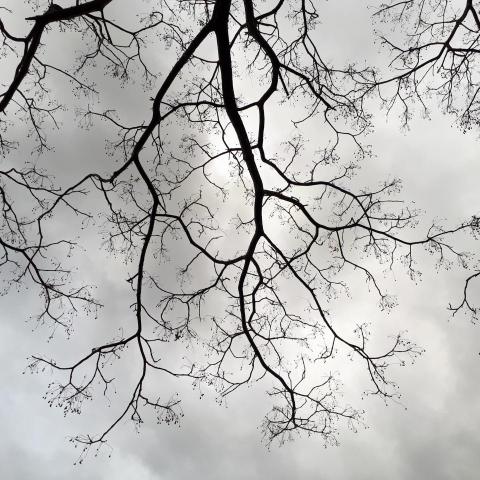 提供兼職服務的專家林小姐