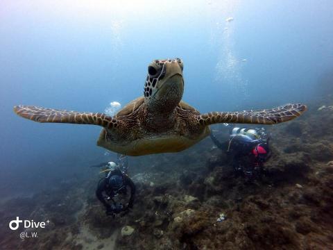 歐陞潛水中心 - 