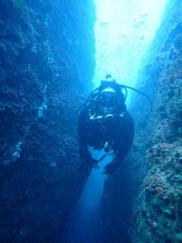 戴明芸 - 水肺潛水