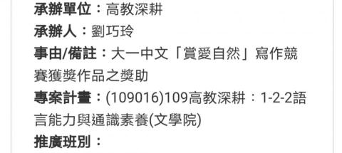 Irene - 大學得獎紀錄