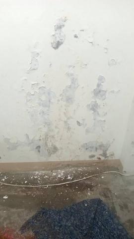 宅全修抓漏/防水/泥水房屋修繕團隊 - 1 室內外牆漏水 : 施做高壓灌注捉漏。
2 壁癌處理 宅全修抓漏/防水/泥水房屋修繕團隊 - 1 室內外牆漏水 : 施做高壓灌注捉漏。
2 壁癌處理