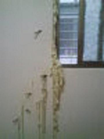 宅全修抓漏/防水/泥水房屋修繕團隊 - 窗框及室內外牆漏水 : 施做高壓灌注捉漏。 宅全修抓漏/防水/泥水房屋修繕團隊 - 窗框及室內外牆漏水 : 施做高壓灌注捉漏。