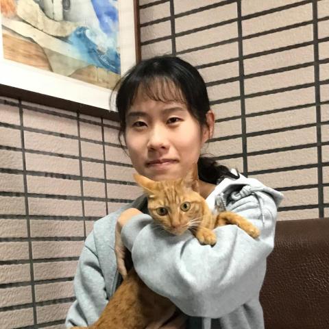 提供r18動漫服務的專家林彥玫