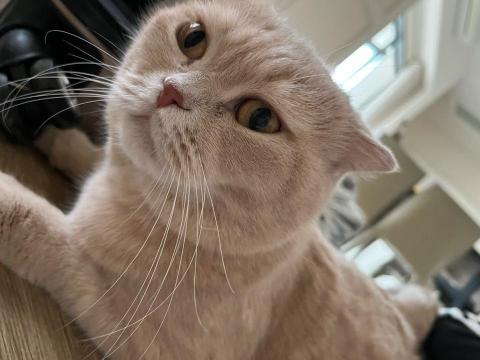 黃筠 - 給大家看我的寶貝