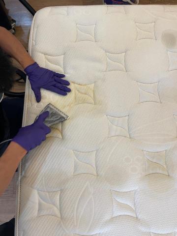 五葉草床墊沙發地毯清潔 - 針對重點髒污分段進行去污