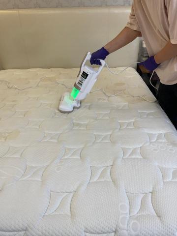 五葉草床墊沙發地毯清潔 - 