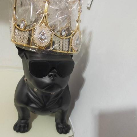 提供遛狗绳服務的專家翔翔遛狗