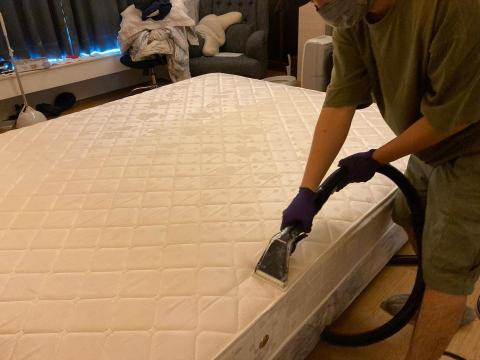 五葉草床墊沙發地毯清潔 - 