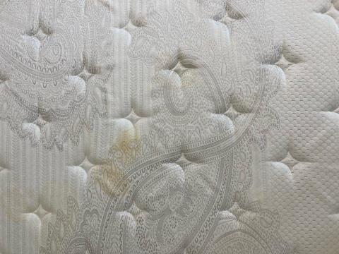 五葉草床墊沙發地毯清潔 - 惱人血漬尿漬沈澱