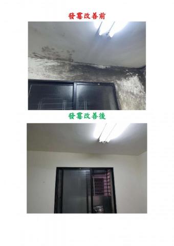 龍哥工程行- - 發霉改善 龍哥工程行- - 發霉改善