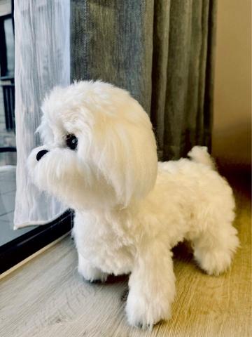 MARU靈氣療癒所 - 