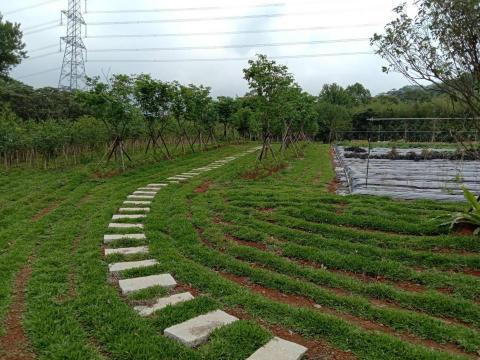梅花園藝 - 施工後