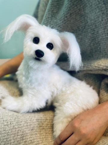 MARU靈氣療癒所 - 