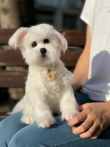 MARU靈氣療癒所 - 