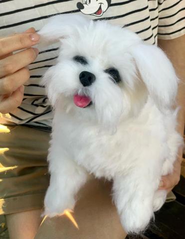 MARU靈氣療癒所 - 