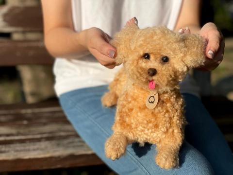 MARU靈氣療癒所 - 