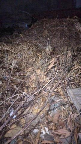 大立土木環保企業 - 廢棄樹枝樹木清運