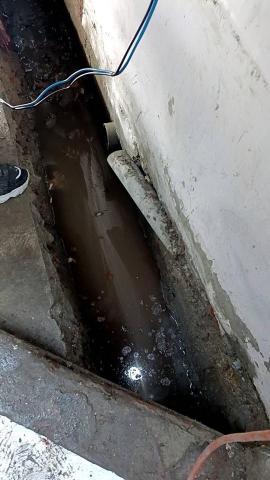 綋聖 - 3/29第二天收尾一點點