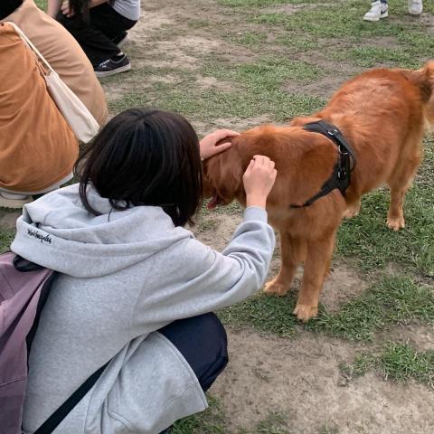 劉冠妤