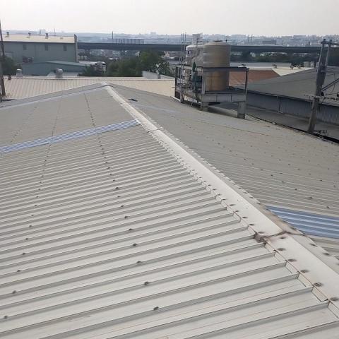 提供cable夏晴子服務的專家夏小宇