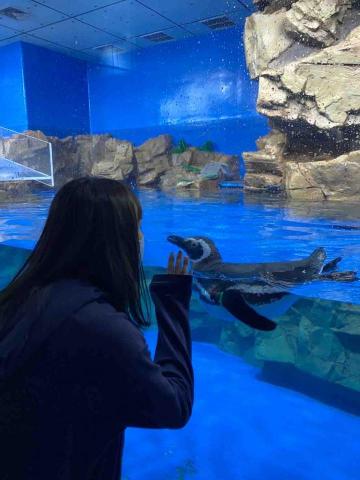 提供行動式教學服務的專家張芷穎