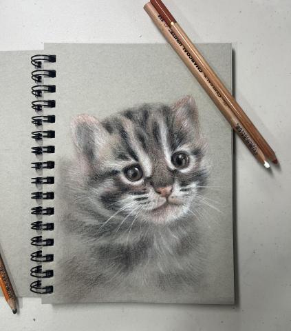 曾群甯 - 炭精筆素描作品《石虎》