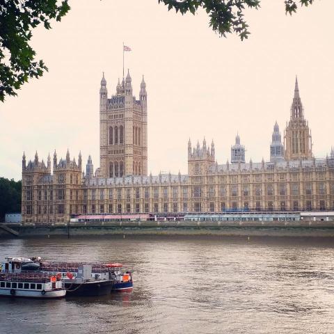 Felicia - 英國國會